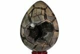 Polished Septarian Puzzle Geode - Black Crystals #113657-2